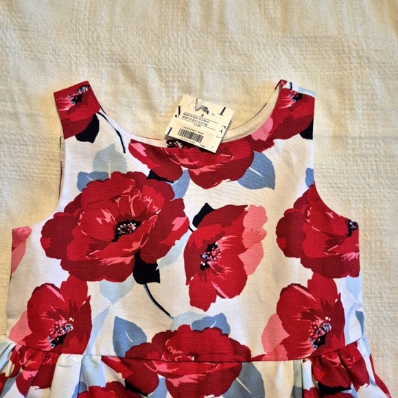 Janie and Jack girls size 3 Poppy Park lined dress NWT - Picture 2 of 7